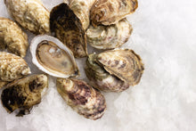 Load image into Gallery viewer, Oyster Party Pack (50 count)
